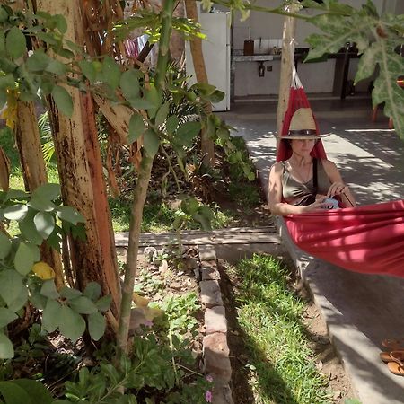 Flying Monkey Hostel ナスカ エクステリア 写真