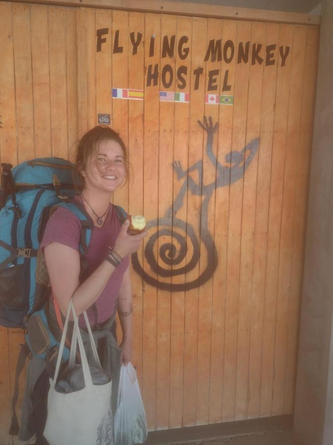 Flying Monkey Hostel ナスカ エクステリア 写真