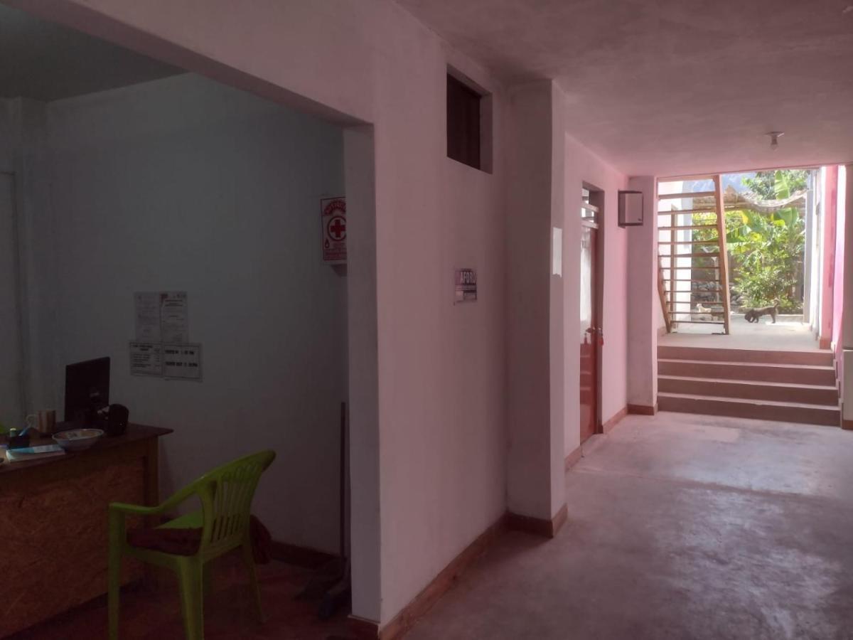 Flying Monkey Hostel ナスカ エクステリア 写真