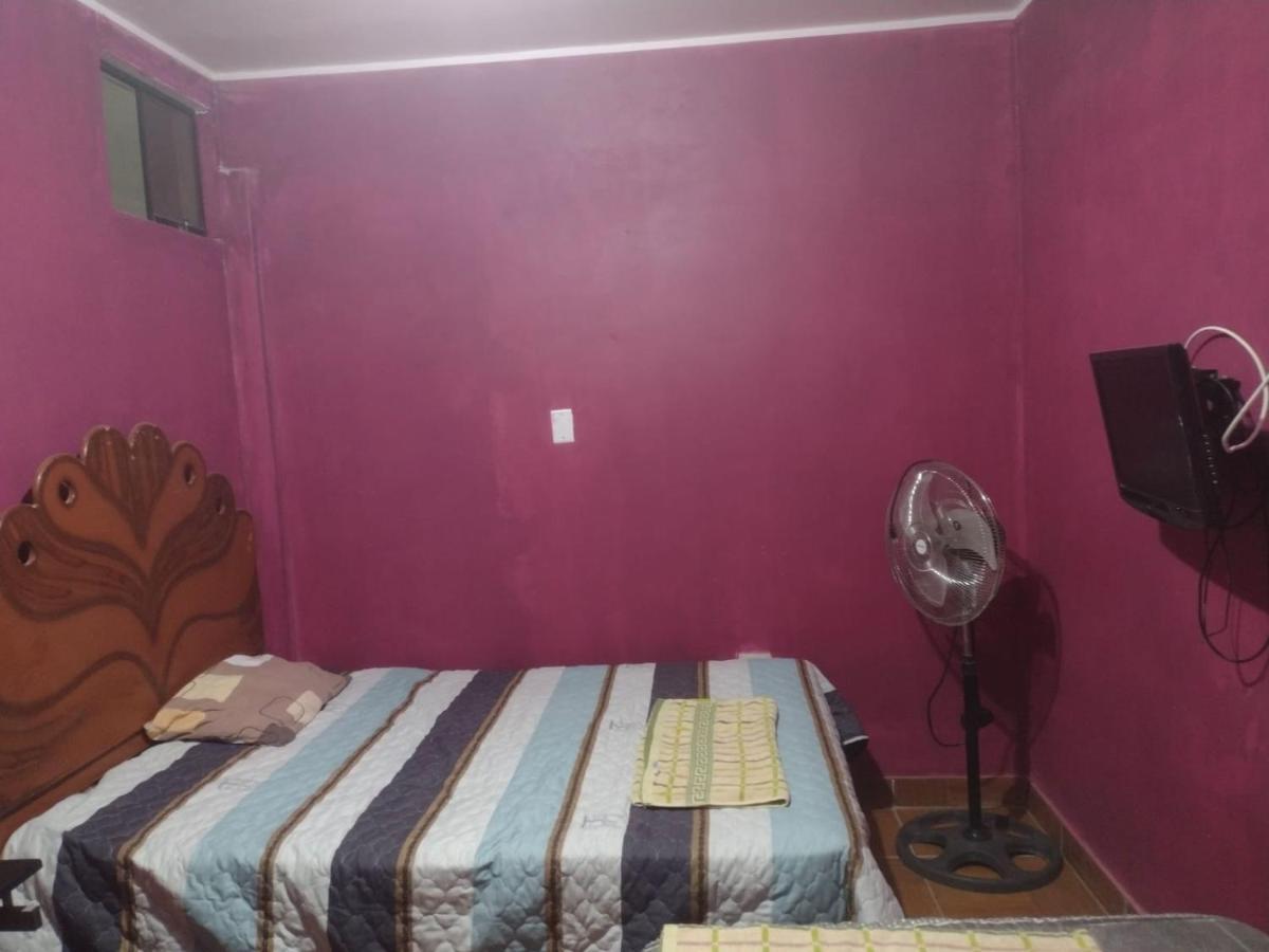 Flying Monkey Hostel ナスカ エクステリア 写真