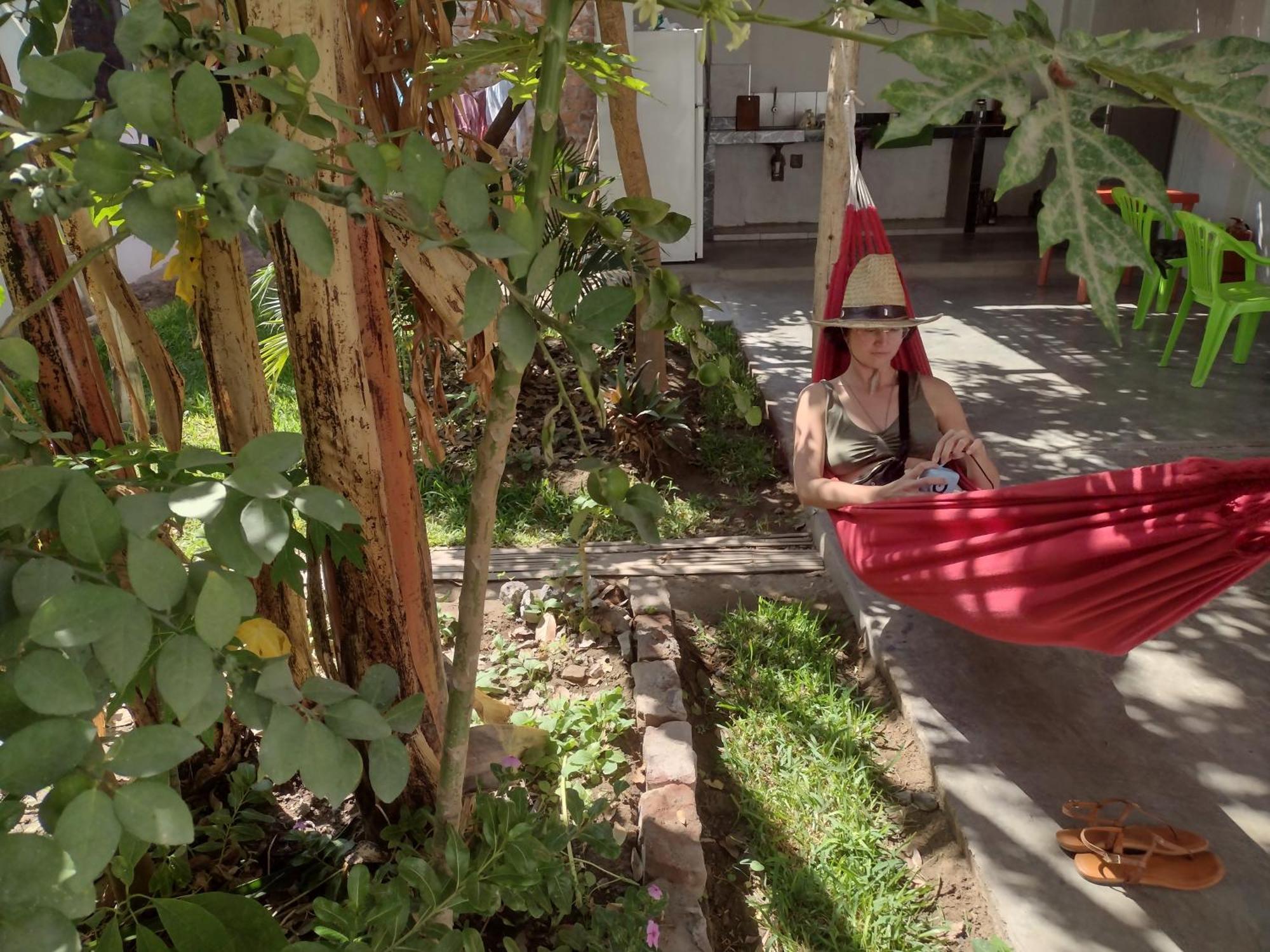 Flying Monkey Hostel ナスカ エクステリア 写真