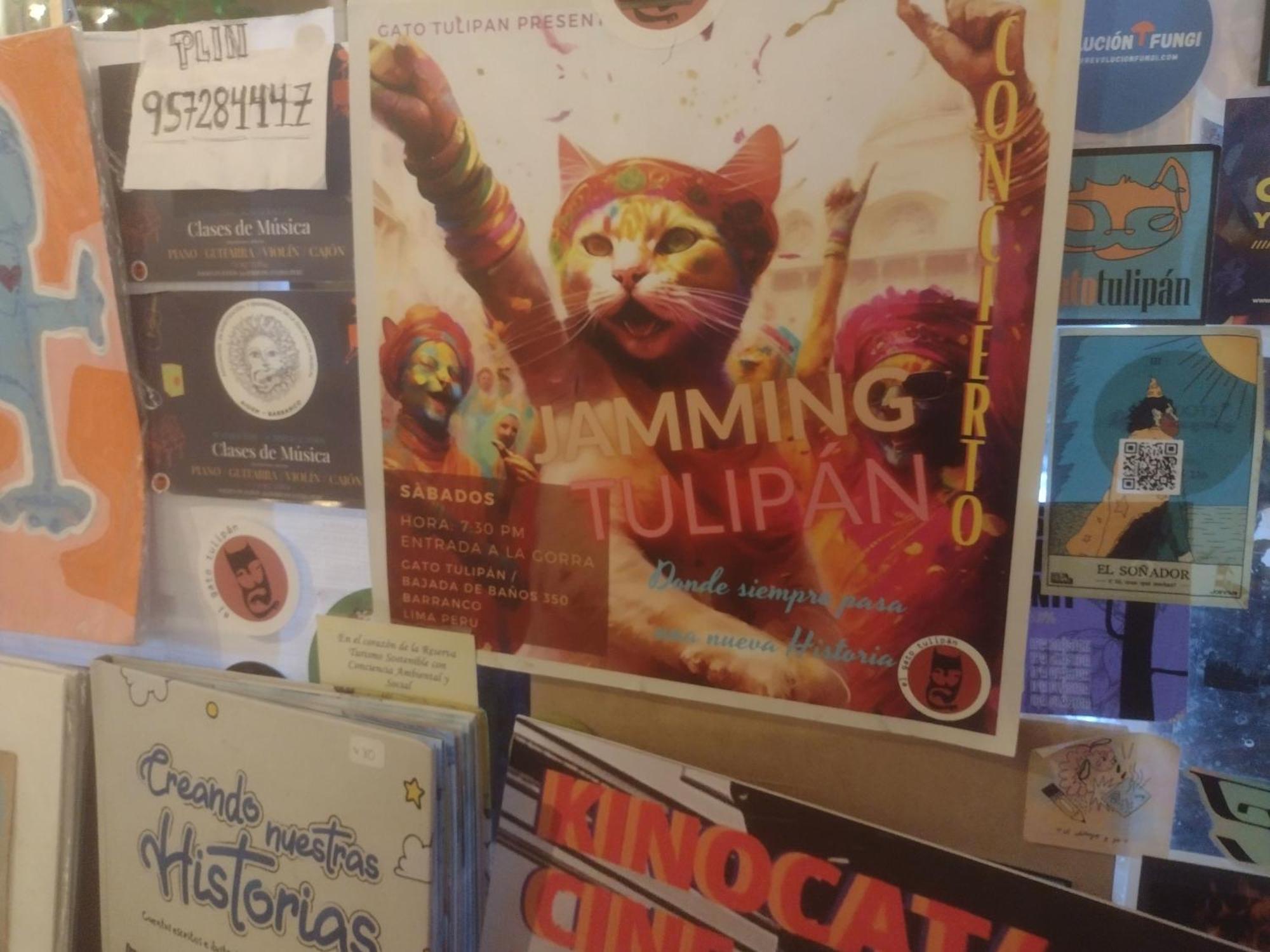 Flying Monkey Hostel ナスカ エクステリア 写真